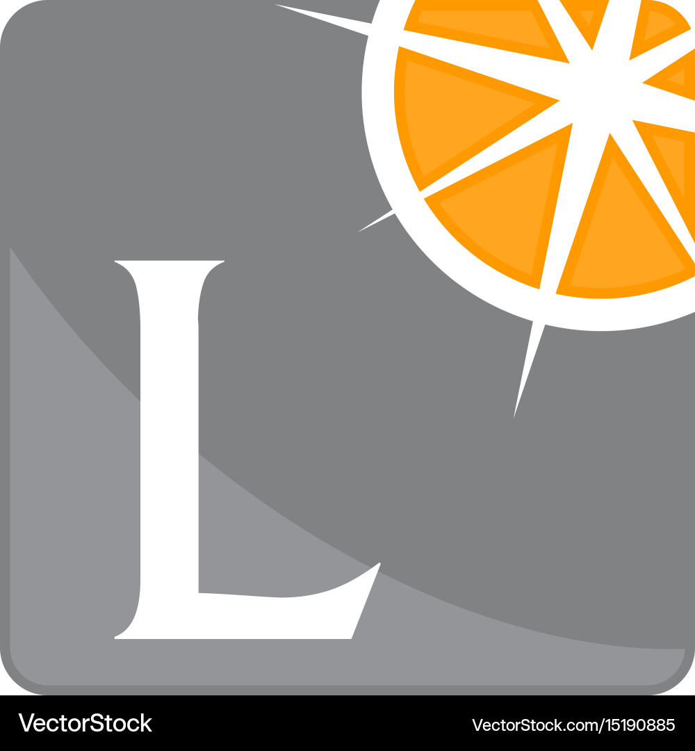 Compass guide solutions initial l vector image