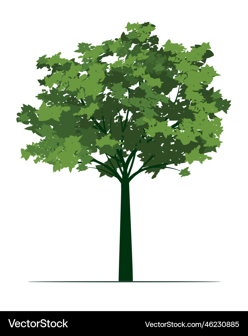 Grüner Baum mit Blättern Umriss Grüner Baum mit Blättern Umriss vektorbild