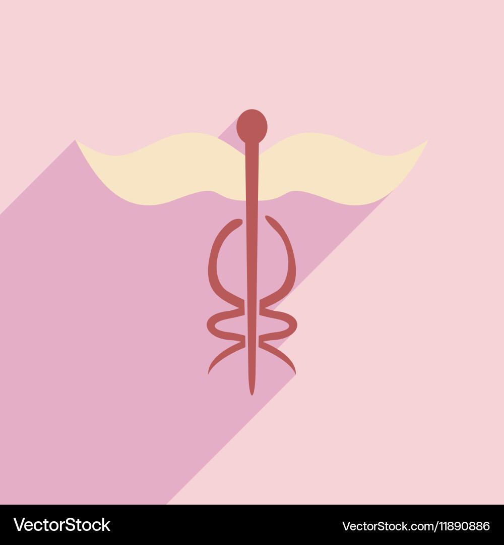 Flat with shadow icon and mobile application Vector Image