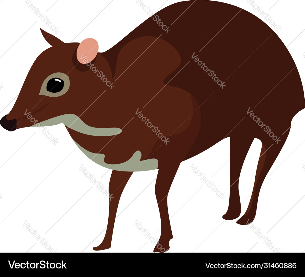 Java mouse deer on white background Vector Image