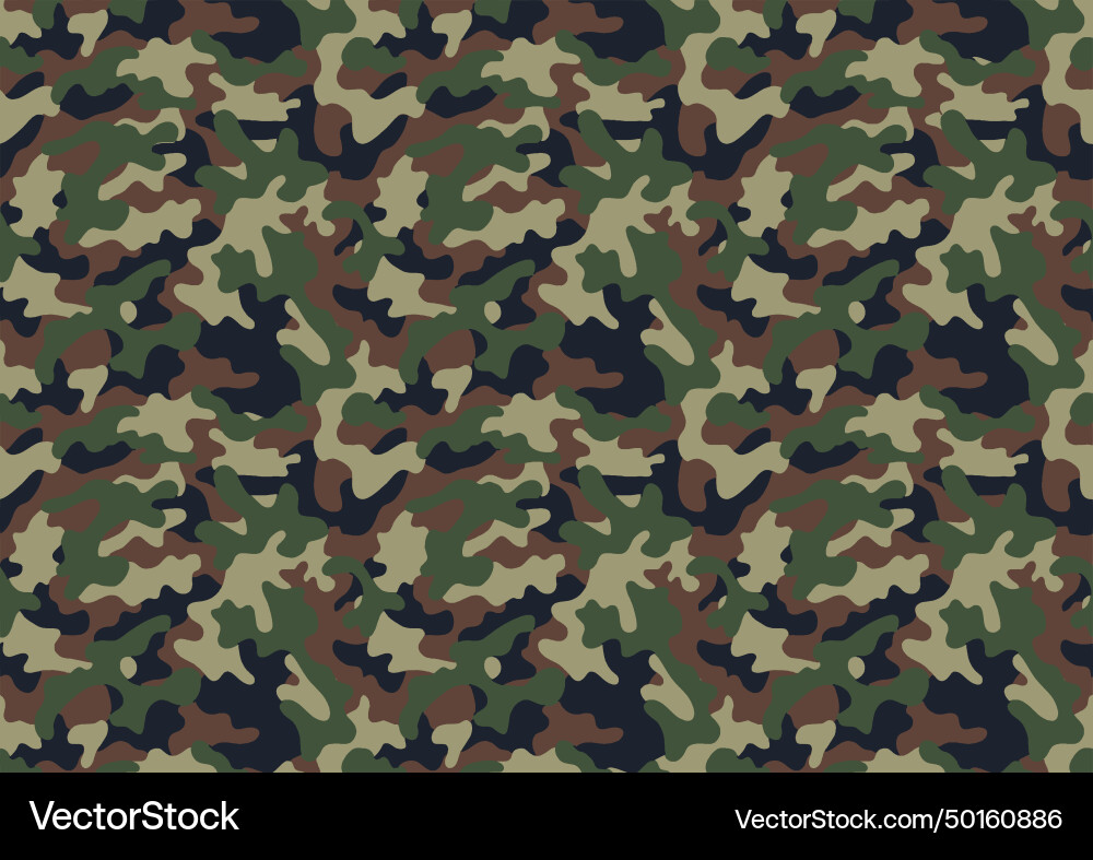 Military Camouflage vector image
