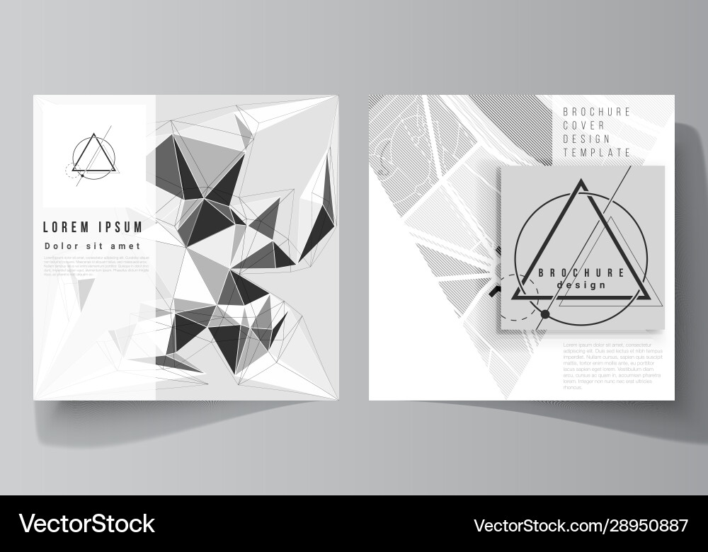 Minimal editable layout Vector Image