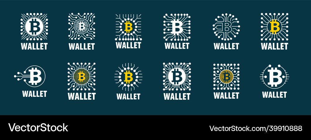 Abstract bitcoin wallet in the form of microchip Vector Image