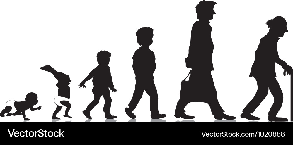 From Youth to Seniority Vector Image
