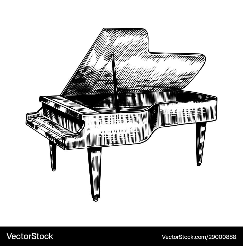 Grand piano in monochrome engraved vintage style Grand piano in monochrome engraved vintage style vector image