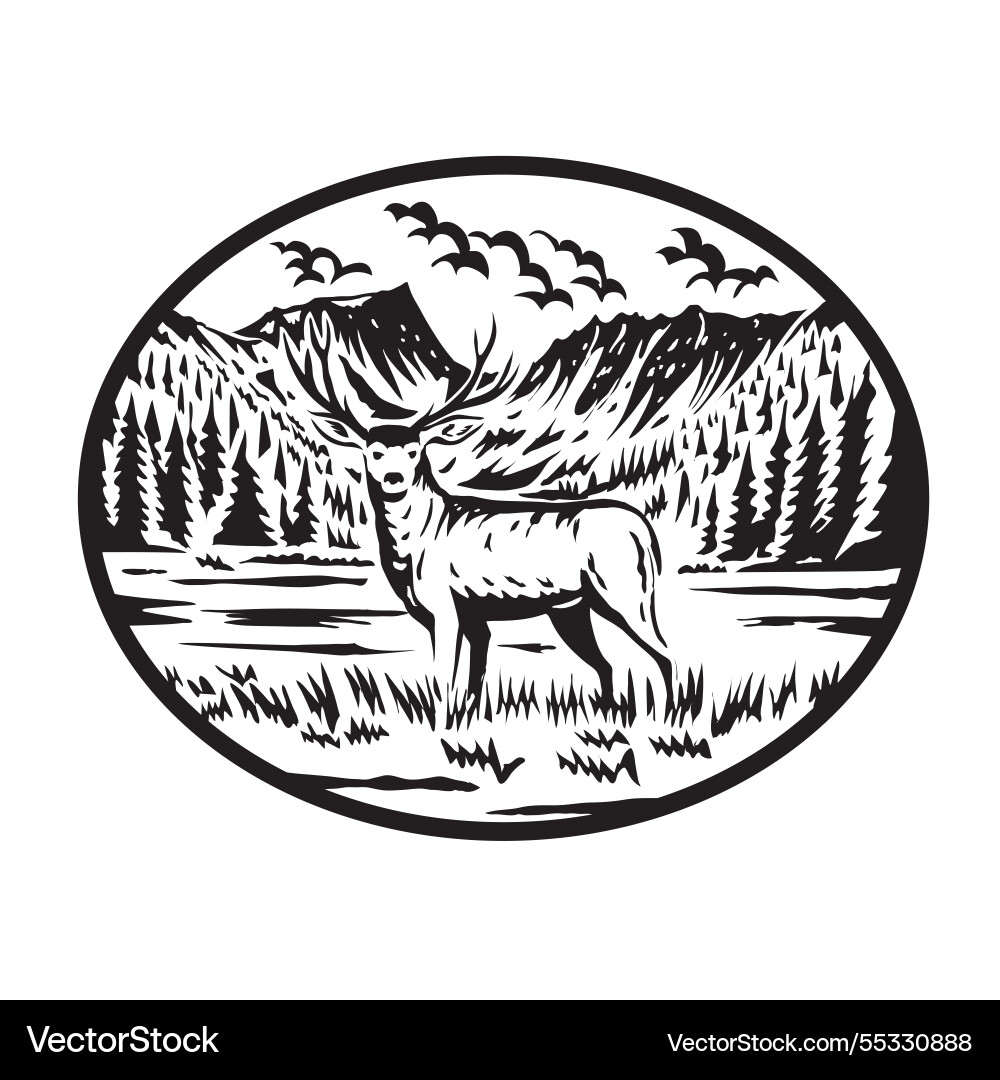 Mule deer in grand lake rocky mountains national Mule deer in grand lake rocky mountains national vector image
