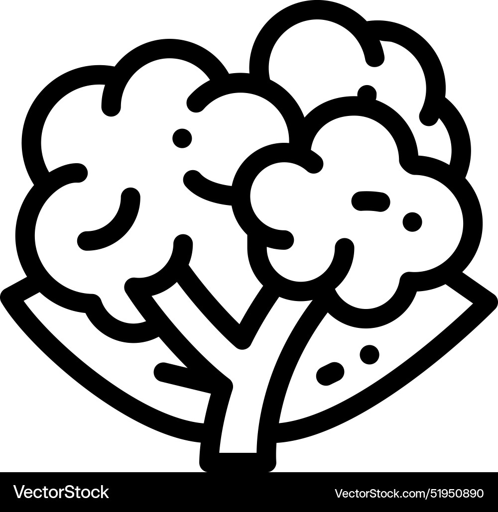 Cauliflower icon thin linear style design Cauliflower icon thin linear style design vector image