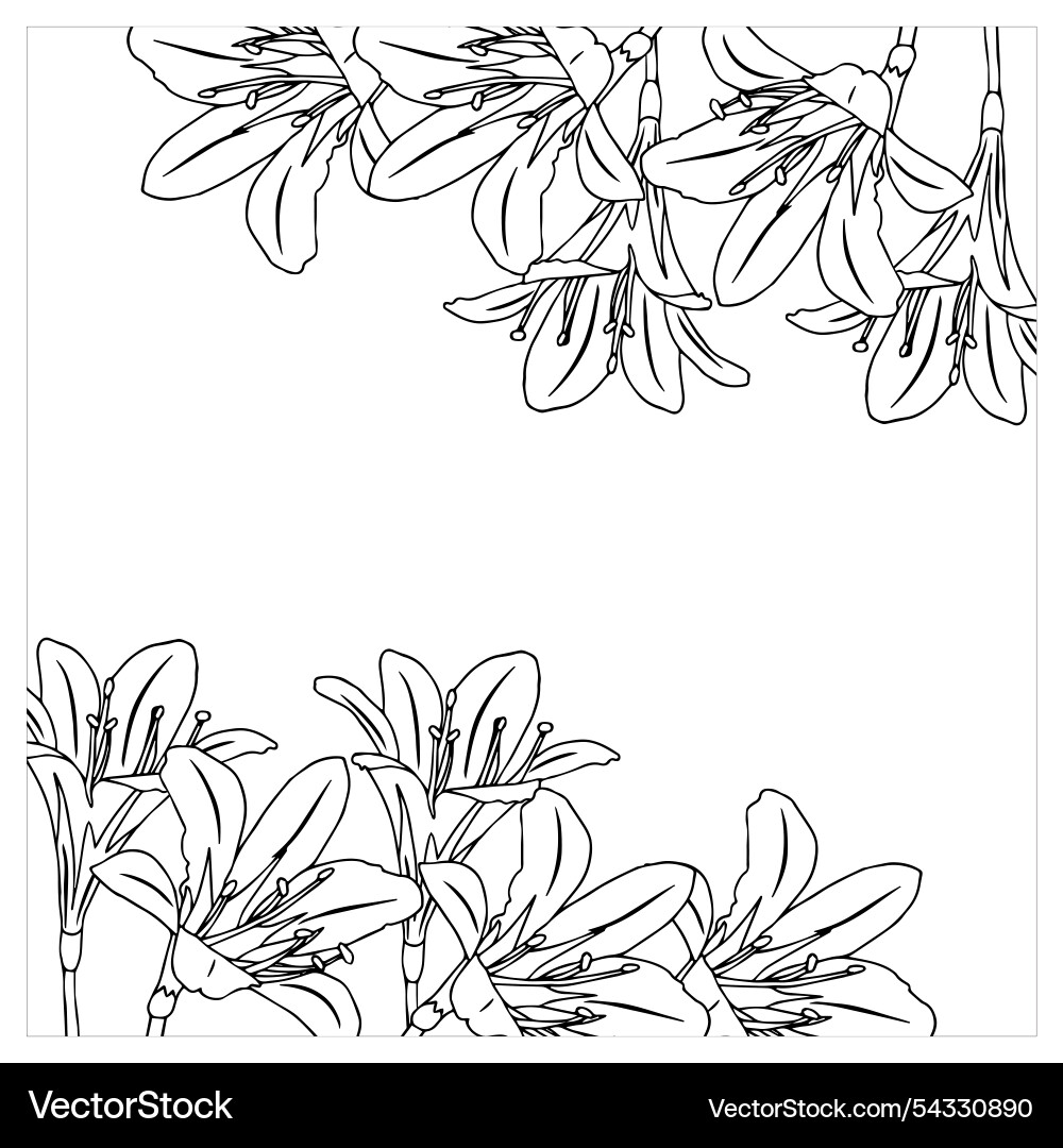 Frame with lilies in doodle style element Frame with lilies in doodle style element Vector Image