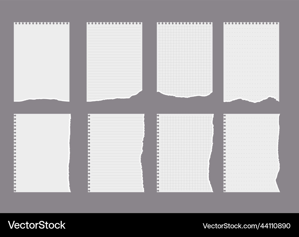 Notebook pieces with torn edges squared and lined vector image