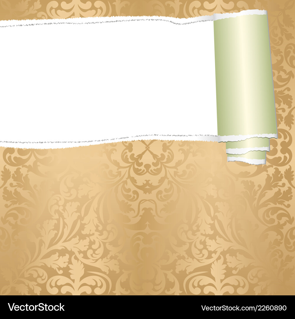 Torn Paper Scroll with Copy Space vector image