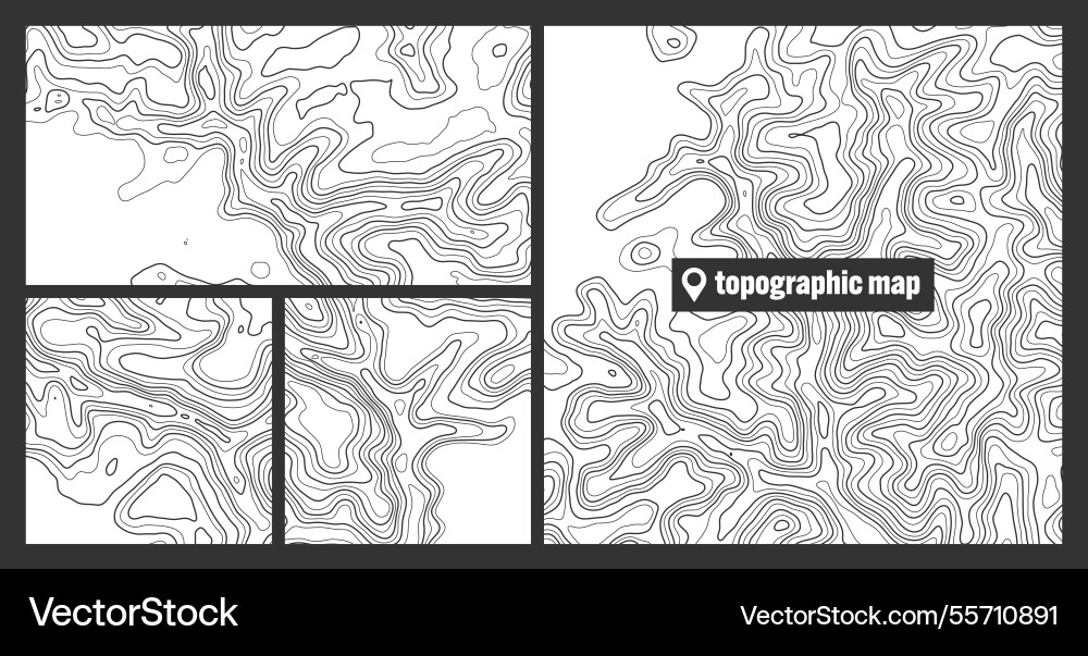 Colorful topographic map sets with contour lines Colorful topographic map sets with contour lines Vector Image