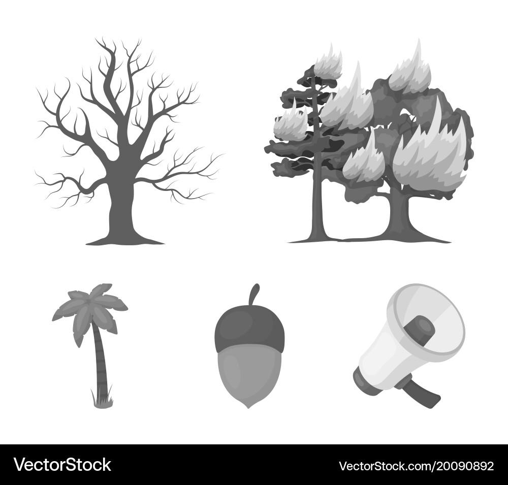 Burning tree palm acorn dry treeforest set Vector Image