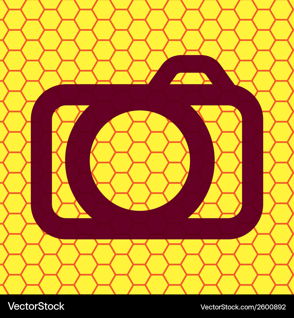 Camera flat modern web button and space for your Vector Image