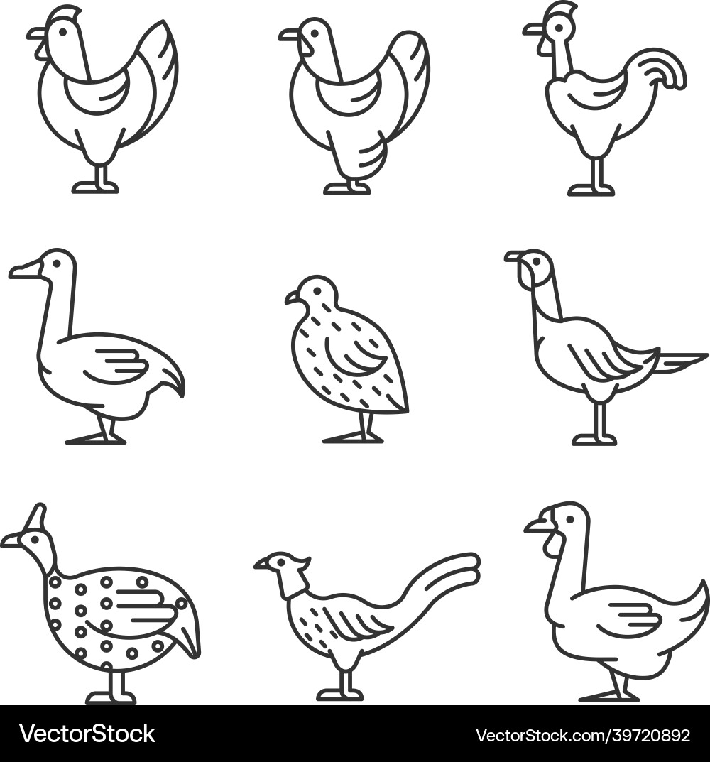 Domesticated birds linear icons set Domesticated birds linear icons set vector image