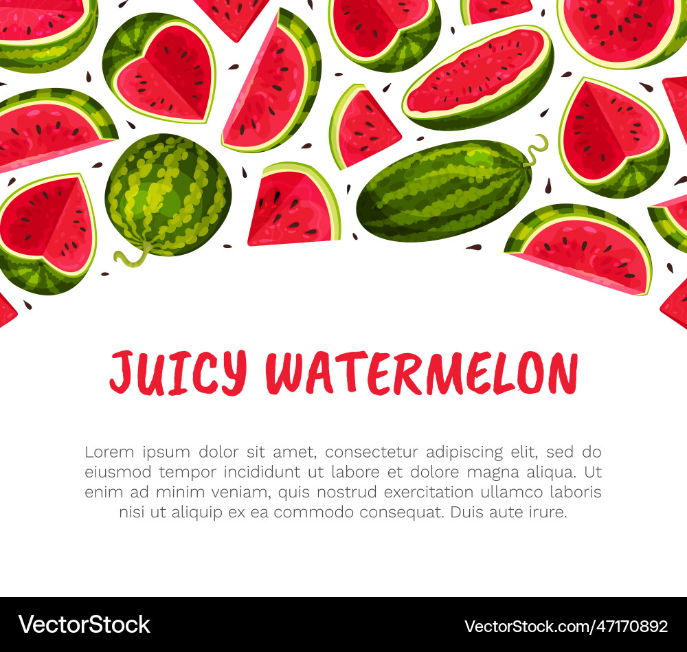 Fresh watermelon banner design with juicy red Fresh watermelon banner design with juicy red vector image