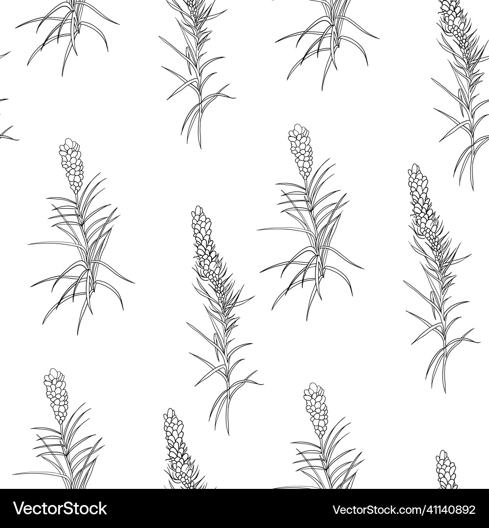 Monochrome botanical motif for textiles and design Vector Image
