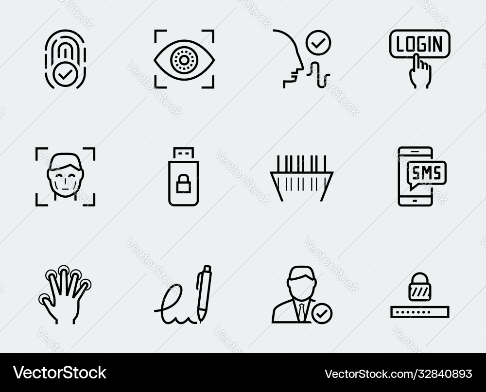 Secure Identity Verification Icons vector image