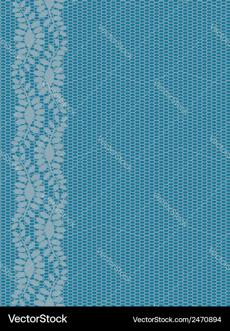 Delicate Lacy Border Pattern vector image