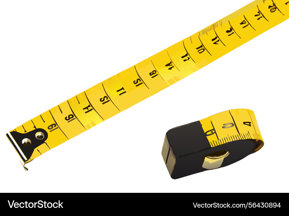 Measuring tape highlighting the numerical scale Measuring tape highlighting the numerical scale vector image