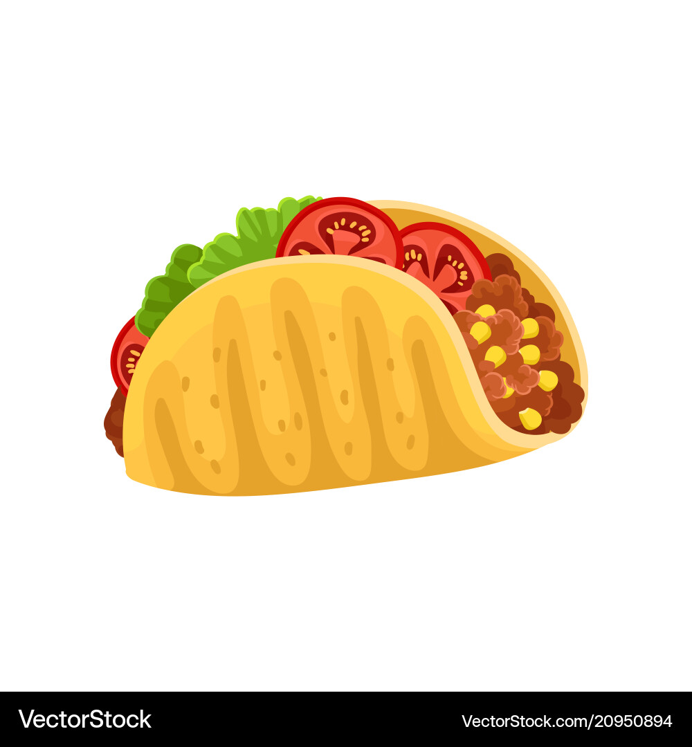 Taco with meat and vegetables traditional dish Taco with meat and vegetables traditional dish vector image