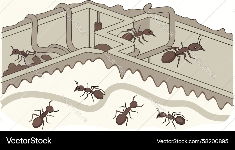 Ant Colony Network - Generative AI Vector Image