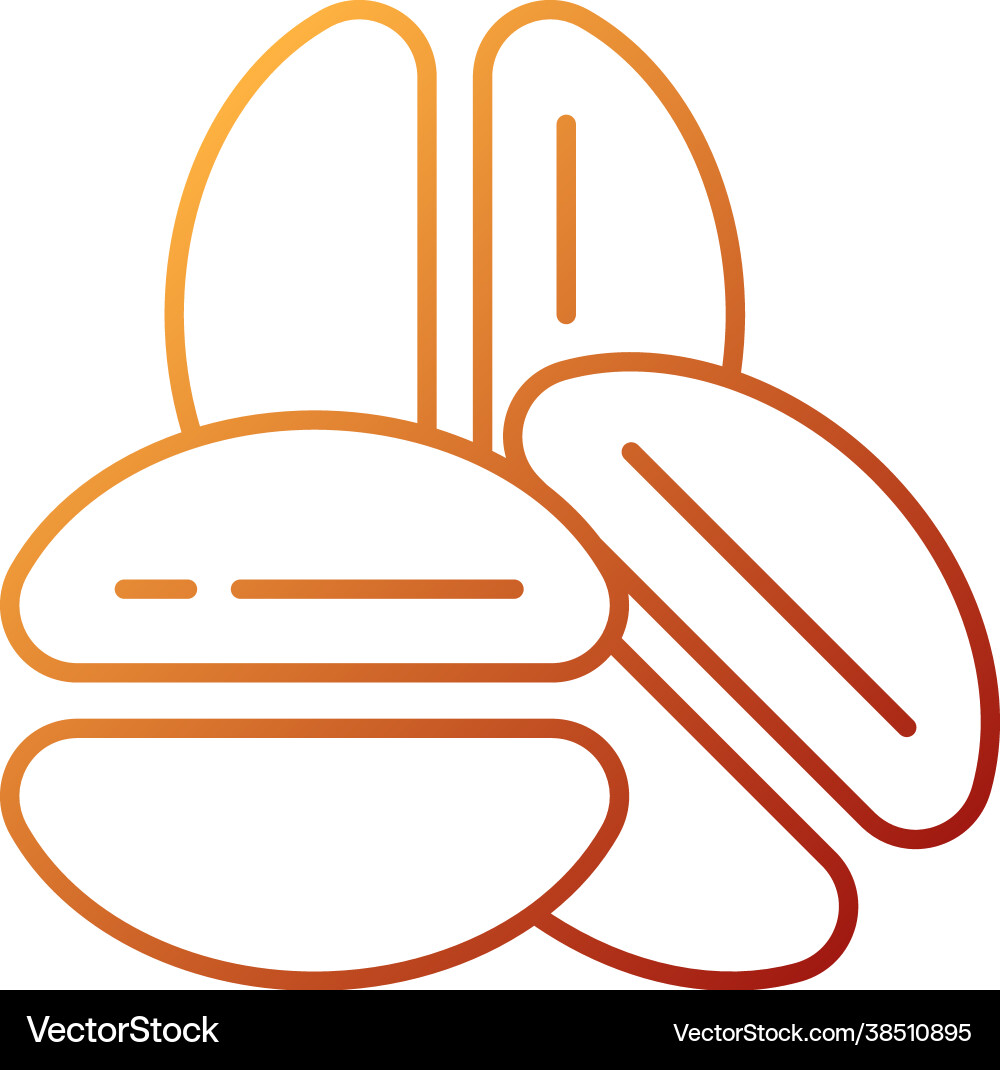 Coffee beans gradient linear icon Coffee beans gradient linear icon vector image