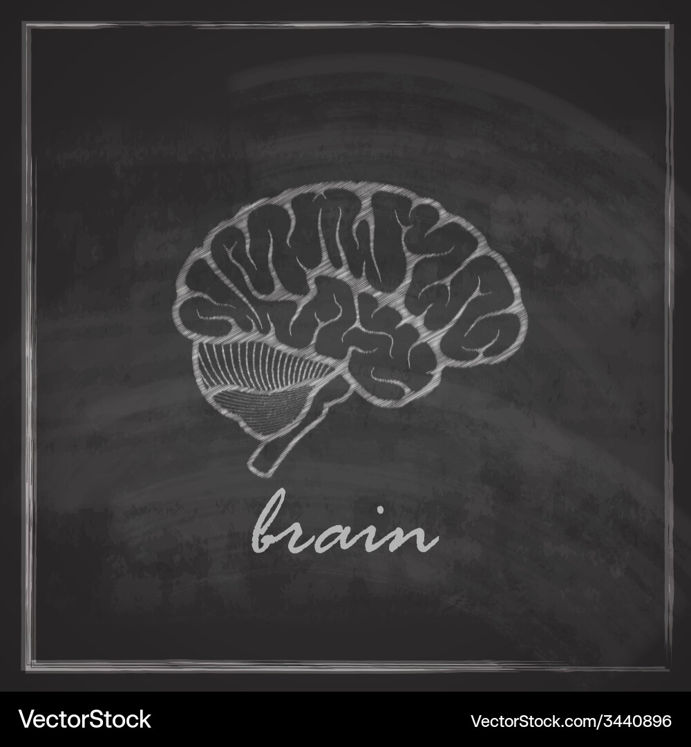 Brain bug chalk