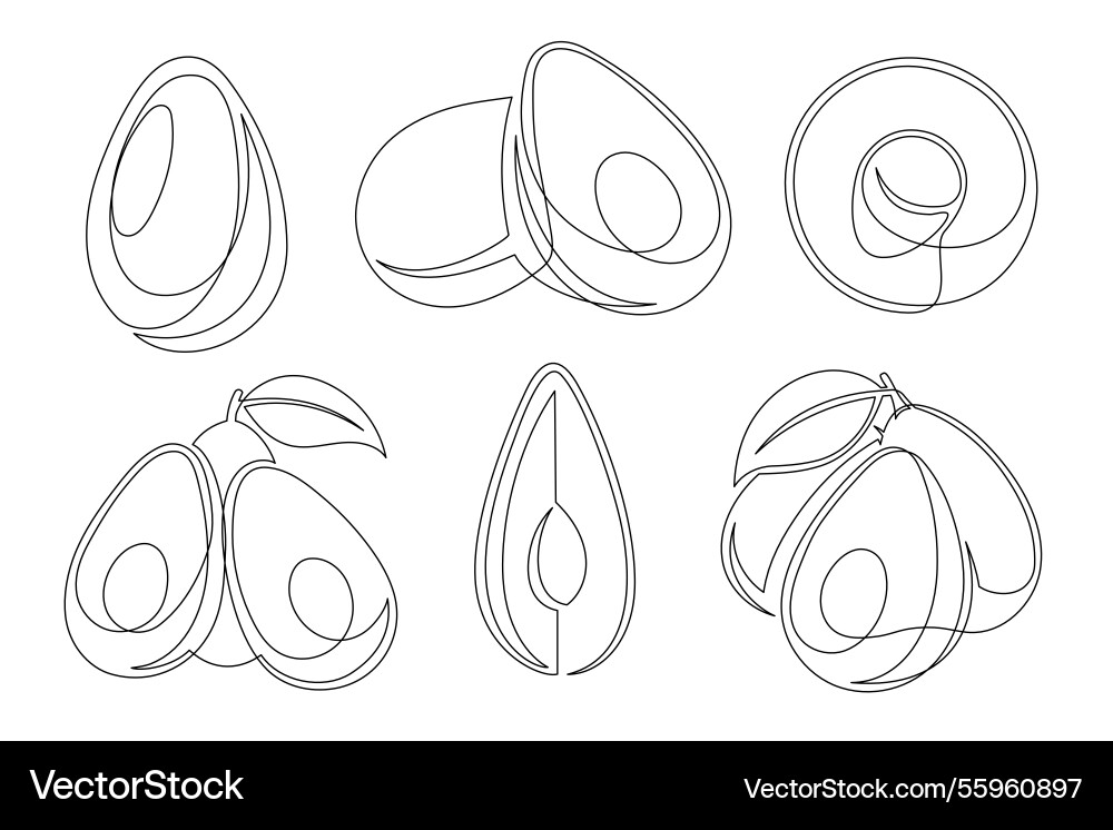 Avocado continuous one line drawing icon set vector image