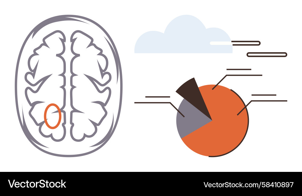 Brain Analysis with Data Visualization Vector Image