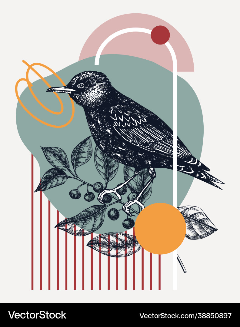 Hand-sketched starling perching bird on buc Hand-sketched starling perching bird on buc vector image