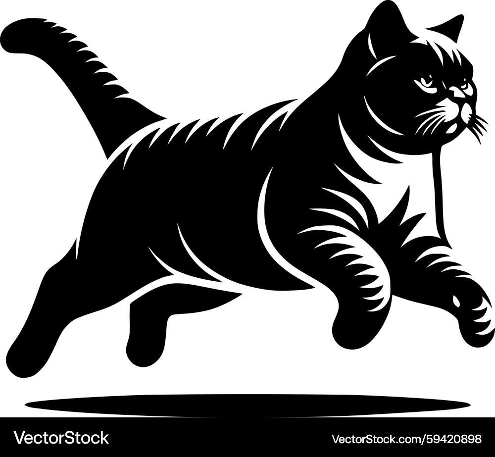 Black Cat Running Silhouette – Royalty-Free Vector | VectorStock, image size:1000x923