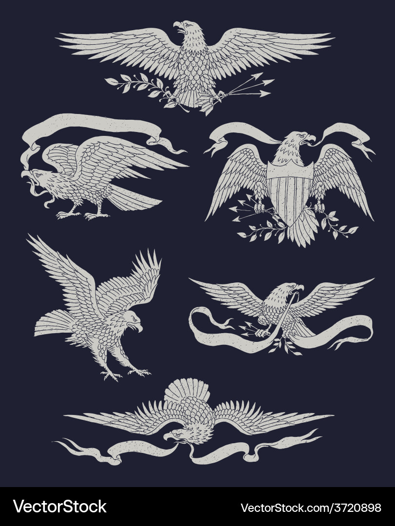 Hand drawn vintage eagle set Royalty Free Vector Image