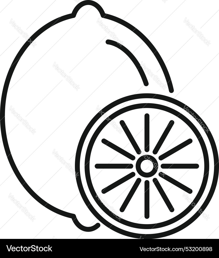 Line icon style of a lemon showing Vector Image