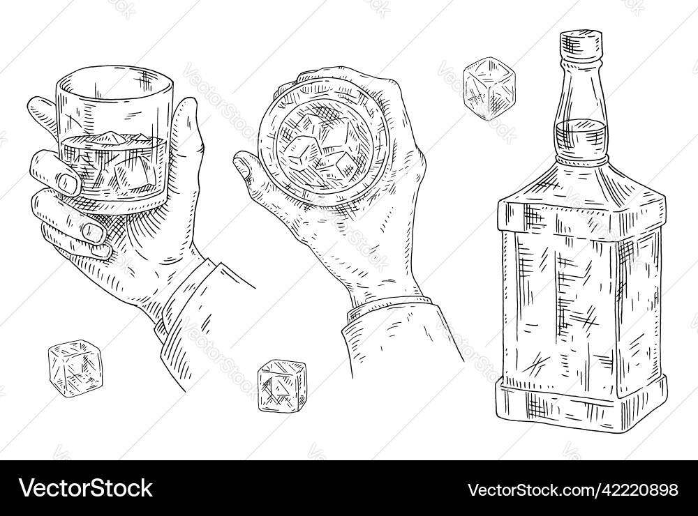Männliche Hand hält Glas Whisky mit Eiswürfel Männliche Hand hält Glas Whisky mit Eiswürfel vektorbild