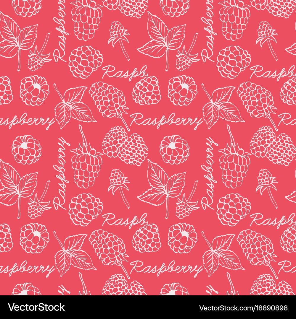 Raspberry Seamless Pattern vector image