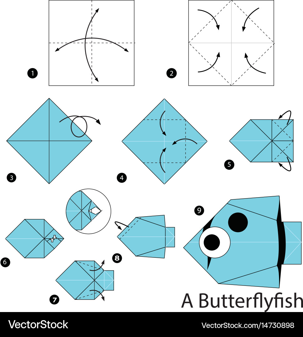 Step by instructions how to make origami Vector Image