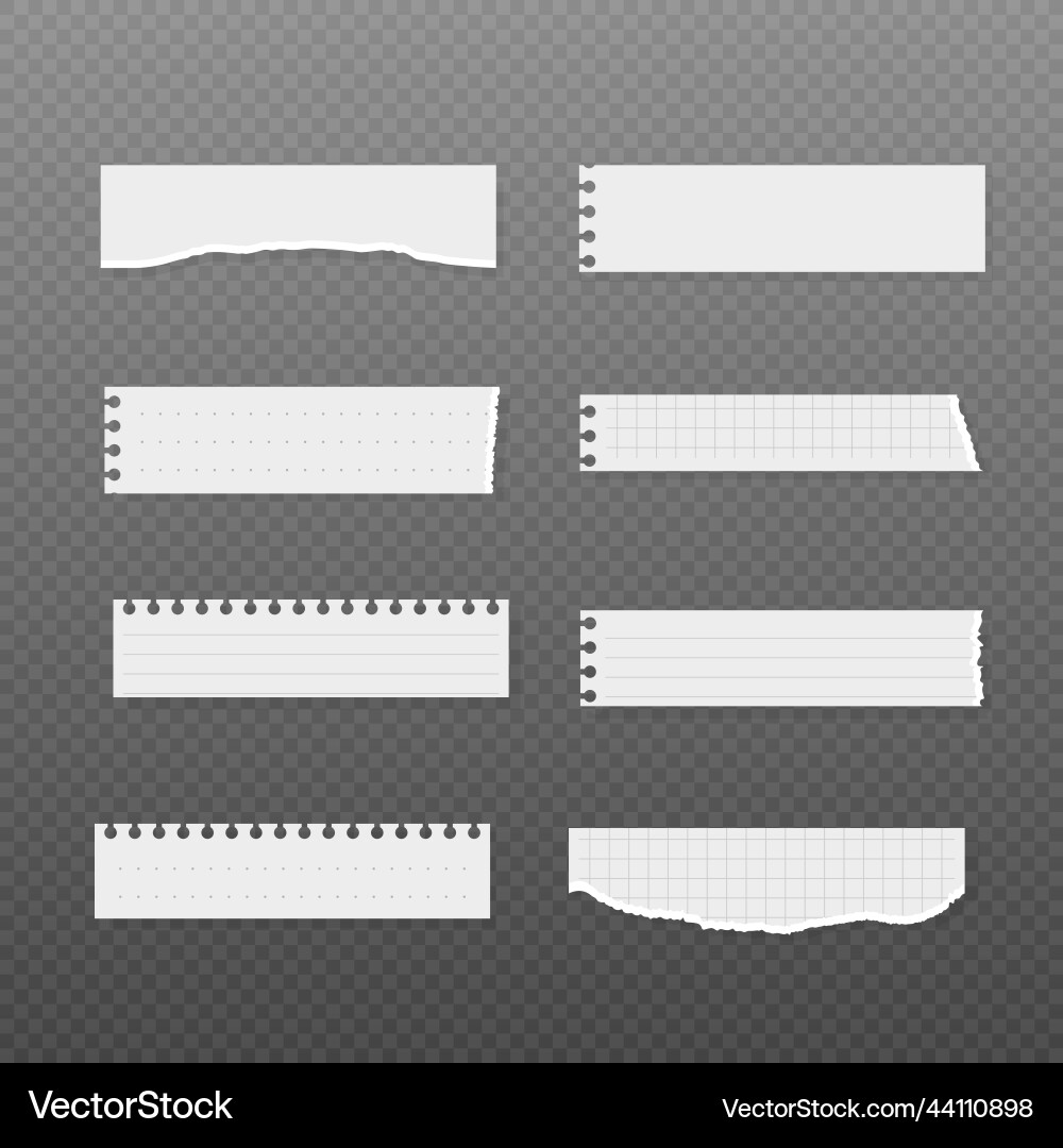 White torn lined and checked note paper realistic White torn lined and checked note paper realistic Vector Image