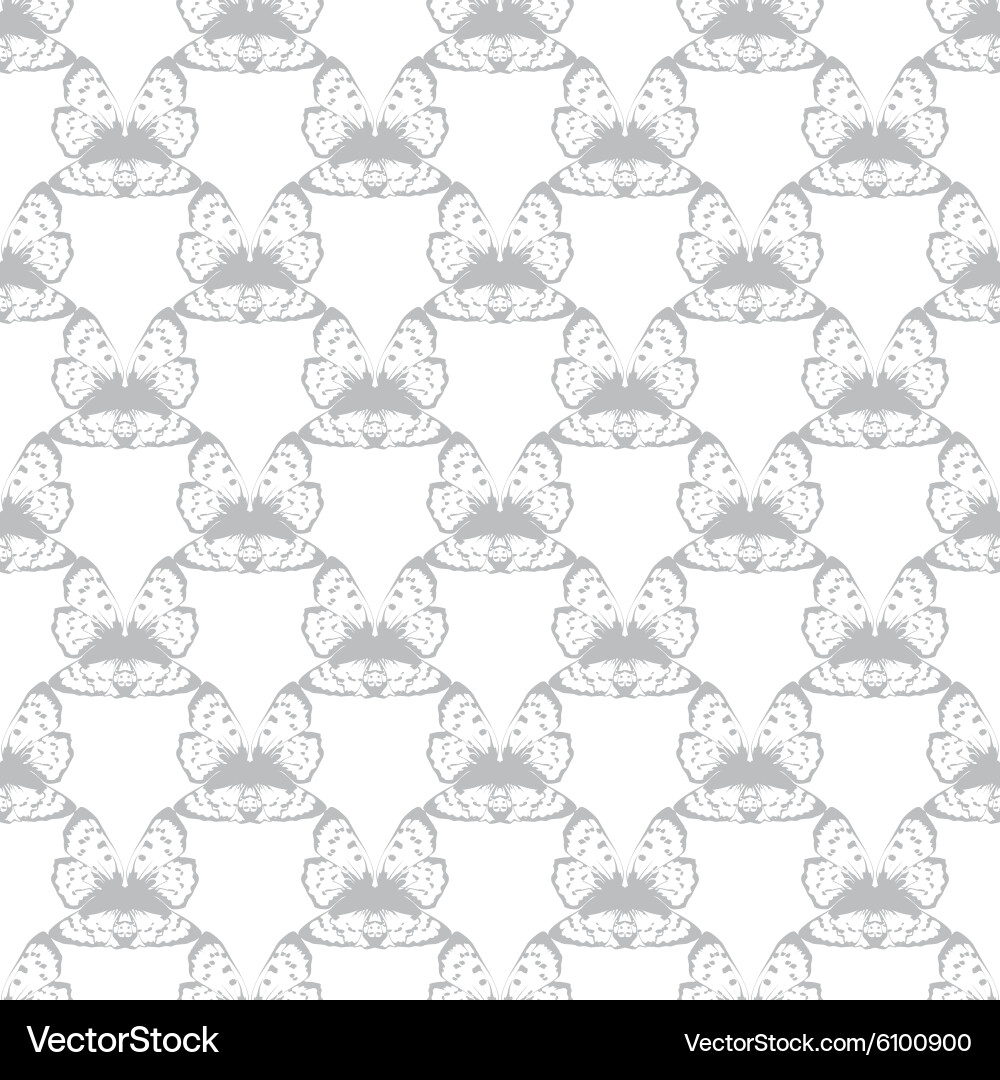 Gray Butterfly Wing Abstract Pattern Vector Image