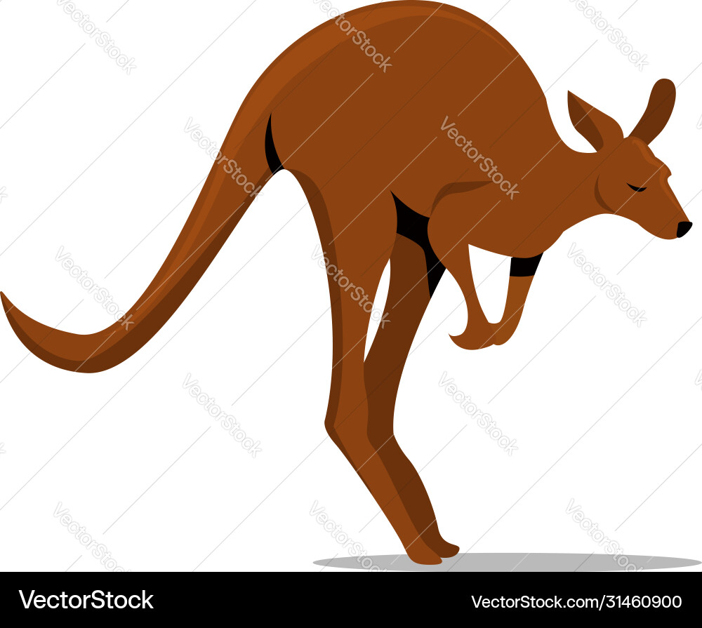 Kangaroo jumping on white background Vector Image
