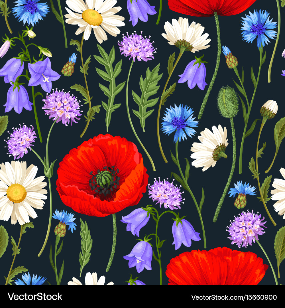 Red Poppy Field Seamless Pattern vector image