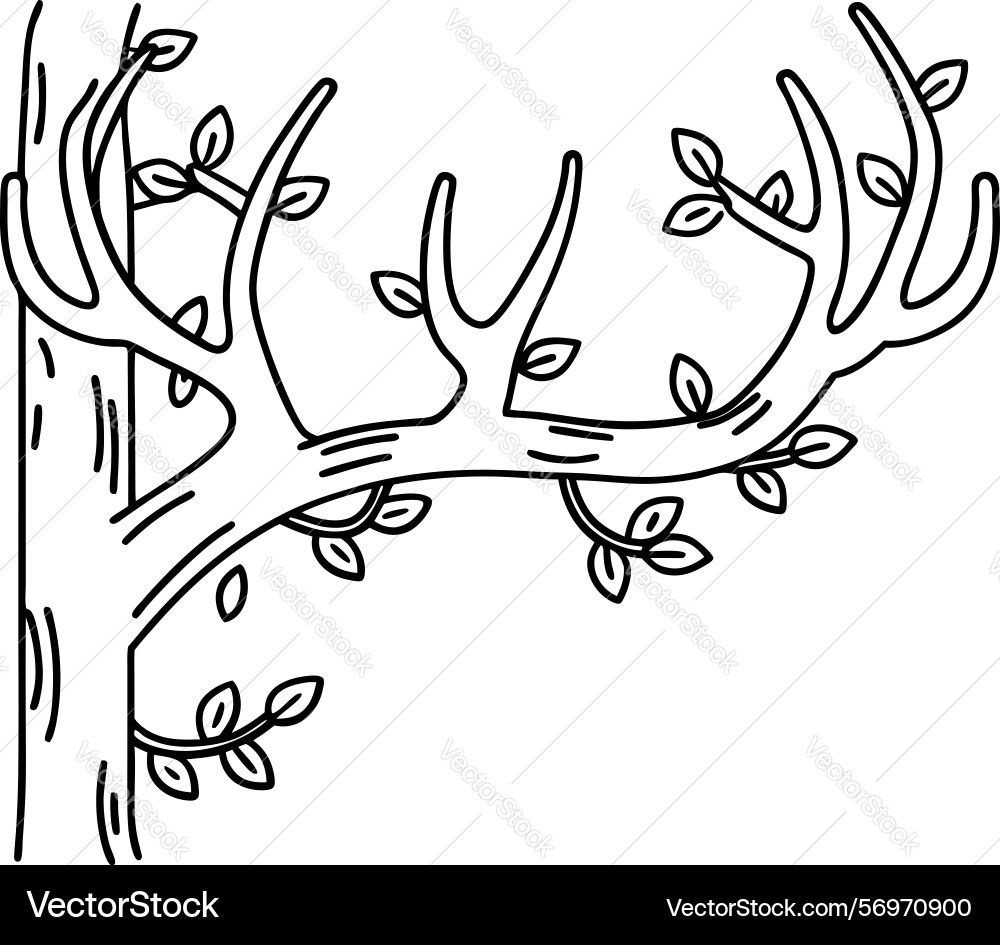 Simple leafless tree branch line drawing Simple leafless tree branch line drawing Vector Image