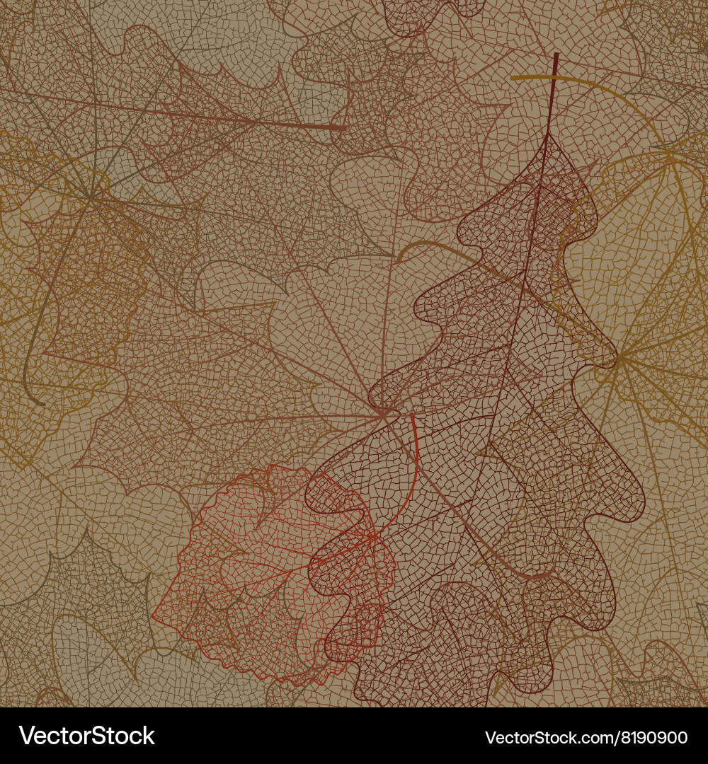Skeleton Leaf Pattern vector image