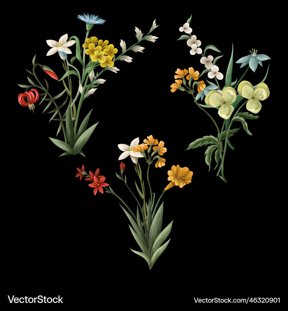 Bouquets with thin meadow flowers Bouquets with thin meadow flowers vector image