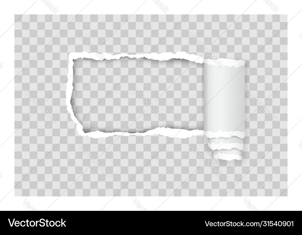 Torn paper edge for design with transparent space Torn paper edge for design with transparent space vector image