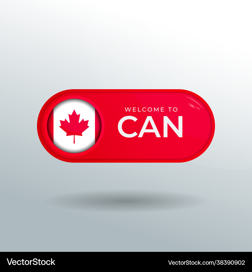 3d label and location pointer flag nation 3d label and location pointer flag nation Vector Image