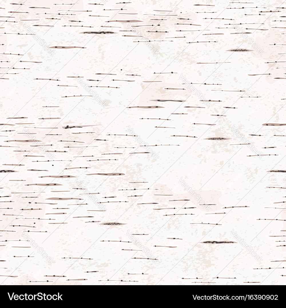 Birch barck texture Royalty Free Vector Image - VectorStock