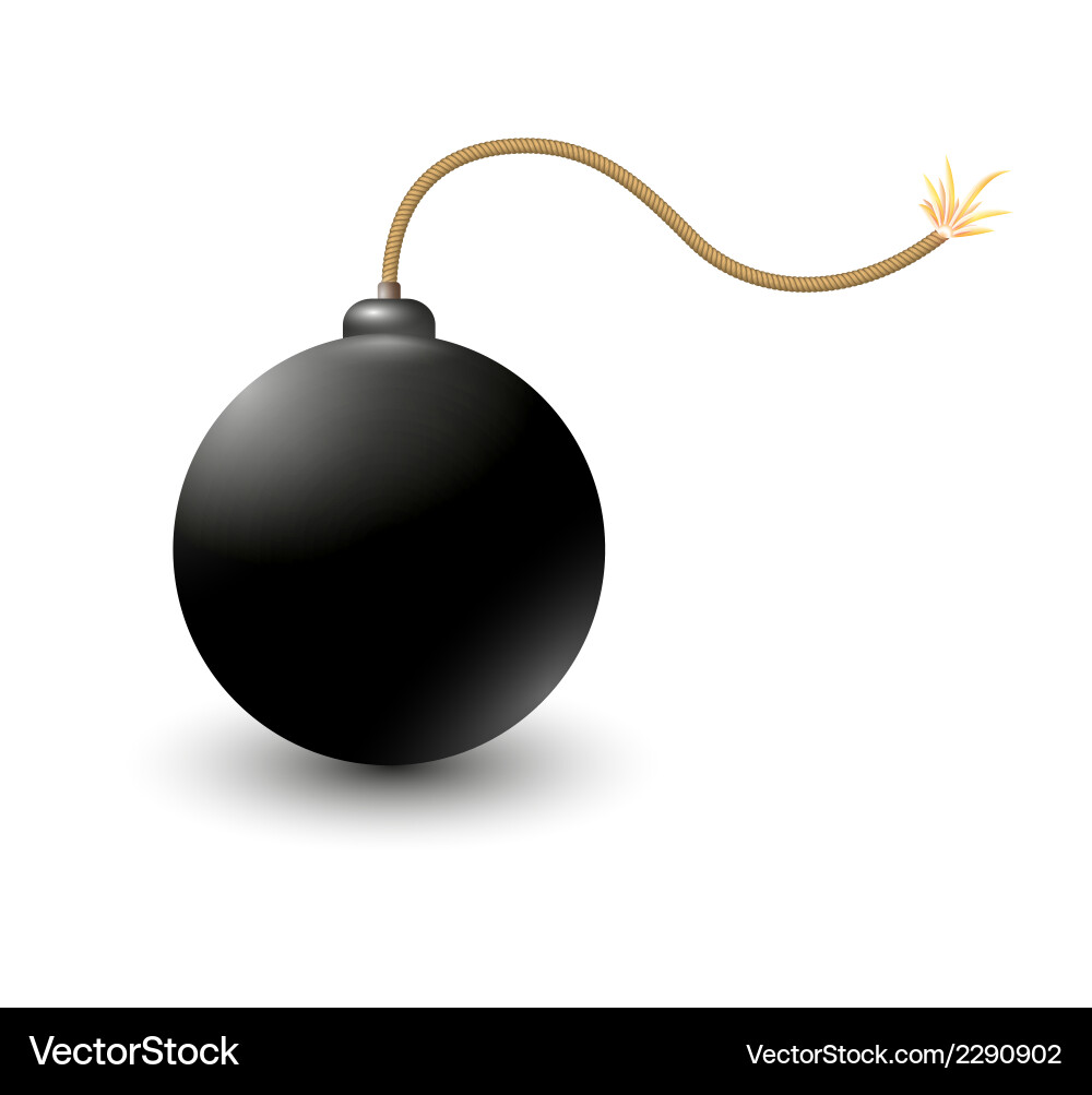 Exploding Bomb Icon vector image