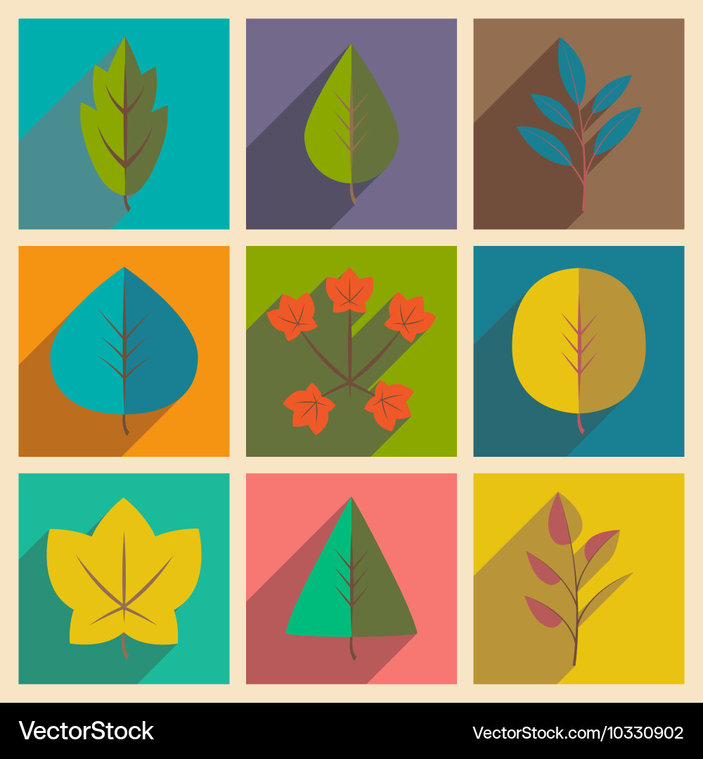 Flat with shadow concept and mobile application vector image