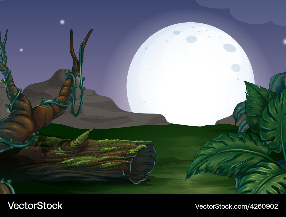 Forest at night Royalty Free Vector Image - VectorStock