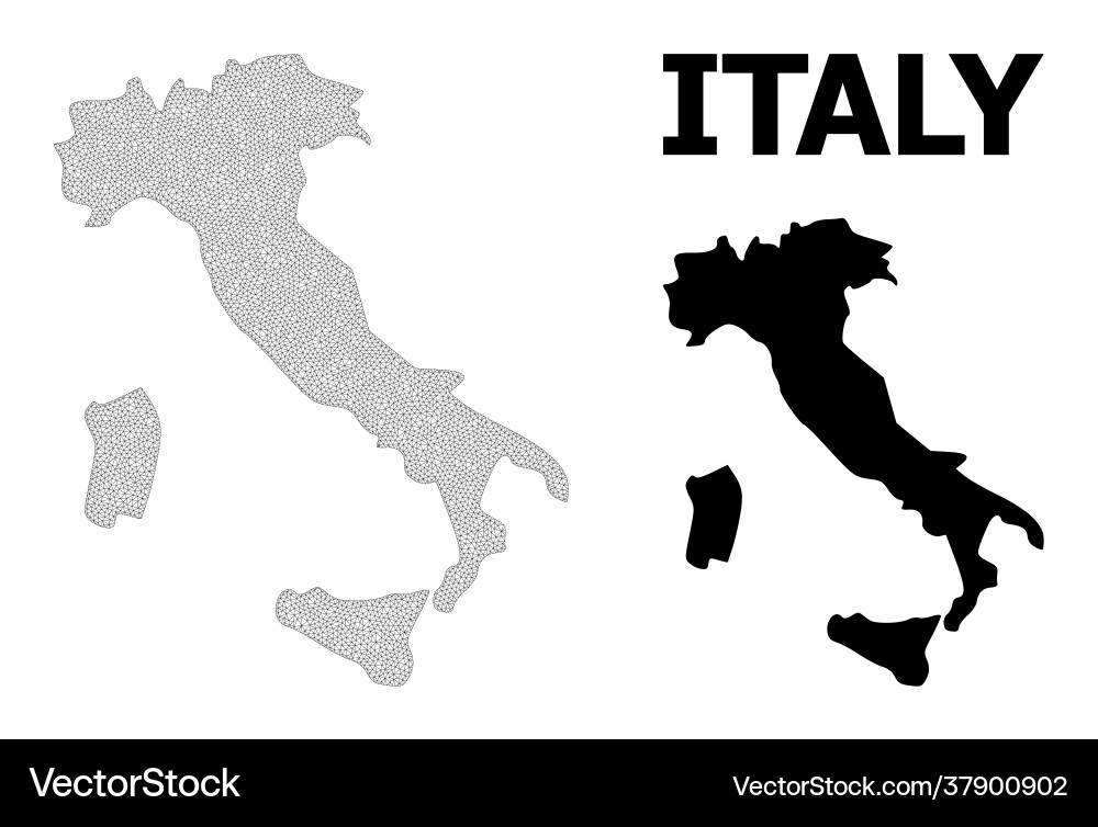 Polygonal 2d mesh high resolution map Polygonal 2d mesh high resolution map vector image